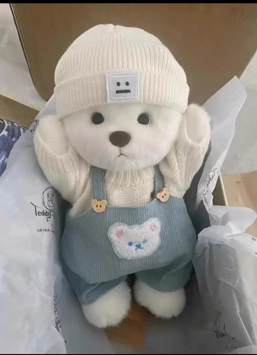 20CM Cotton Doll Costume Bear Clothes detail 9